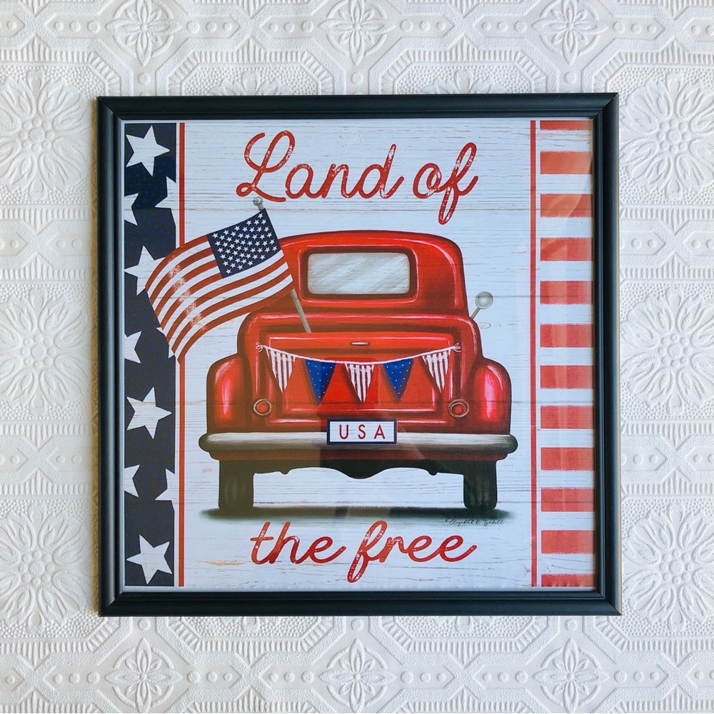 Land of The Free Patriotic Decor